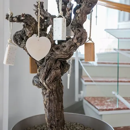 Boulevard 900 Revello